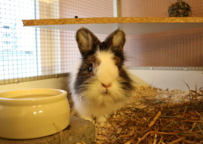 Gerda