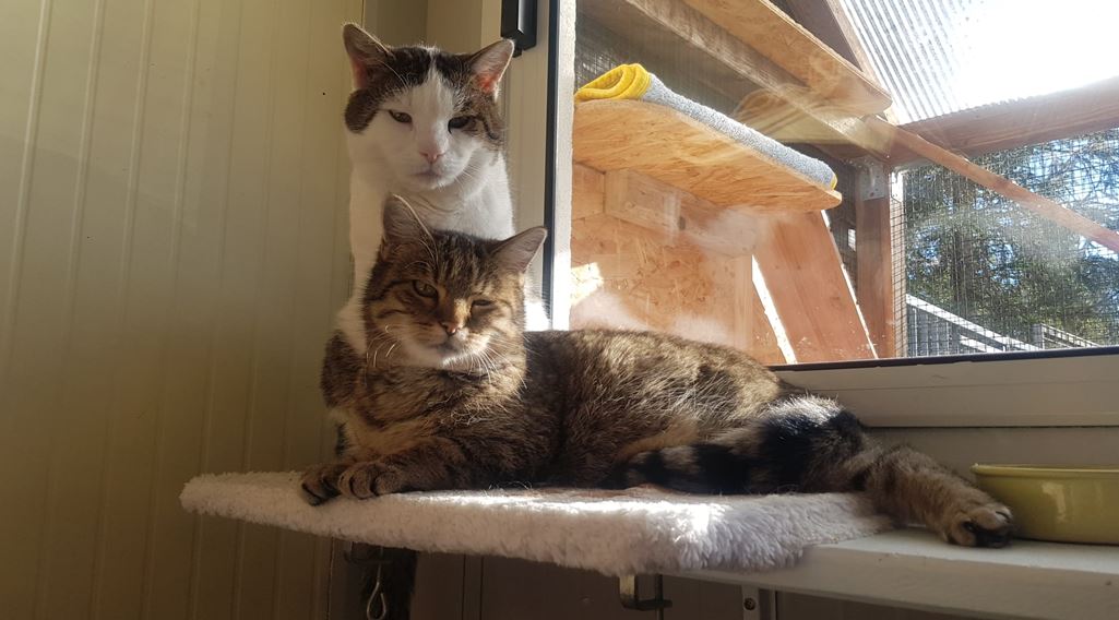 Laya & Eros