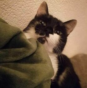 Zoe, Maurach  (01/23)