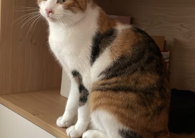 Sunny, Hall  (01/23)