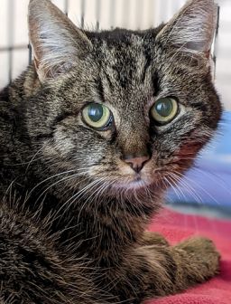 Fundkater Brixlegg  (02/23)
