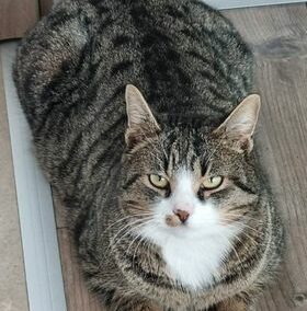 Nala, Volders  (01/23)