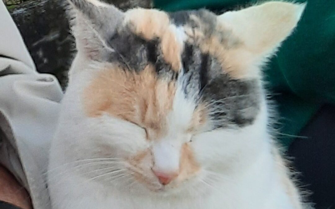 Fiona, Schwoich  (03/23)