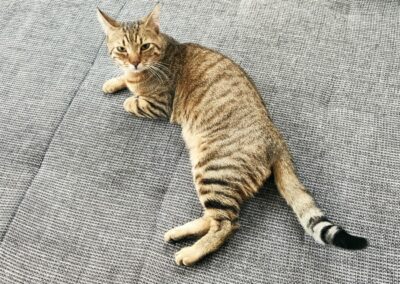 Fundkater, Reith  (03/23)