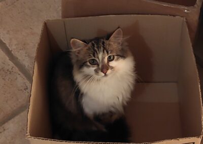 Nelly, Schwoich  (03/23)