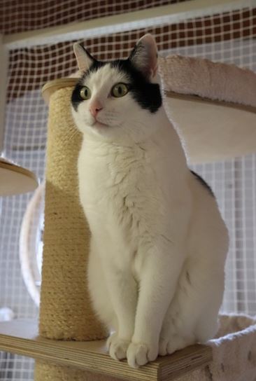 Leo