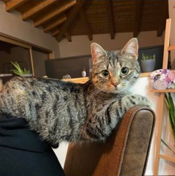 Mauni, Volders (03/23)