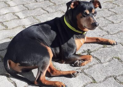 Carlos