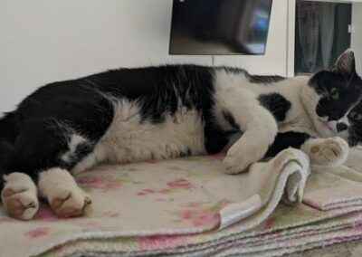 Jasper, Kirchbichl  (04/23)