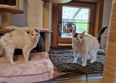 Twiggy & Toffee