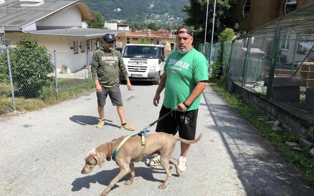 Ungarn trifft Tirol – Tierschutz im Austausch