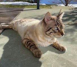 Charlie (07/23)