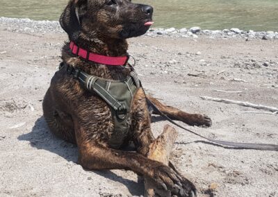 Amy