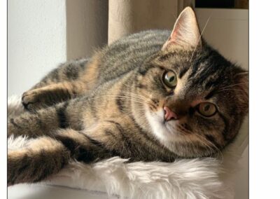 Findus, Innsbruck(08/2023)