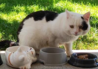 Fundkater, Angerberg  (03/2023)