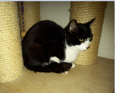 Fundkater, Kirchdorf (08/2023)