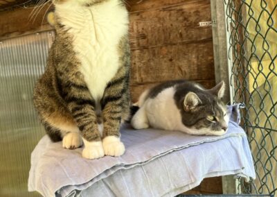 Happy & Schnurli