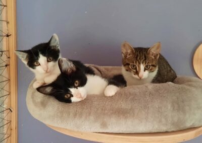 Muffin, Streusel & Strudel