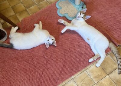Ricky & Monty