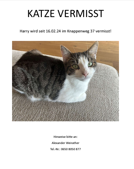 Harry, Innsbruck  (02/24)