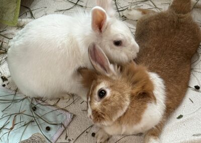 Minji & Pippi
