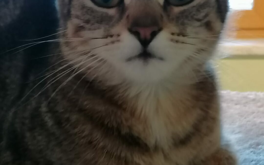 Lilly, Kirchbichl  (05/24)