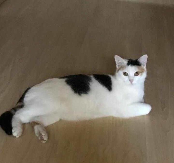Elli, Rietz (08/24)