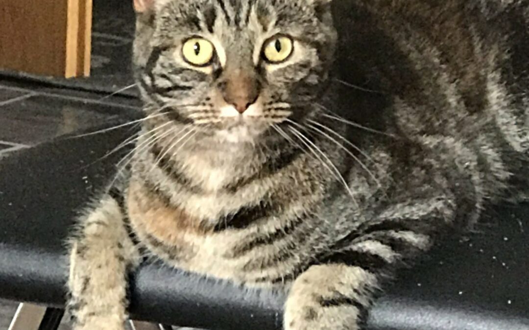 Alisa, Imst  (09/2024)