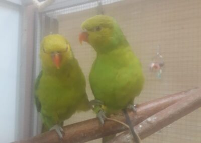 Remi und Colette