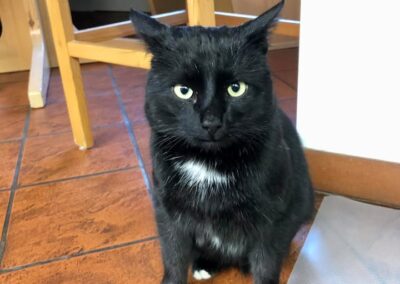 Fundkater, Mutters (12/2024)