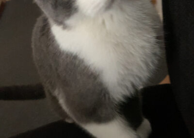 Lola, Innsbruck  (02/2025)