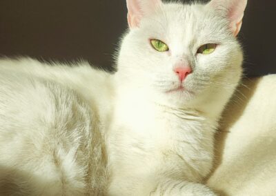 Mia