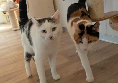 Lucky + Mackie