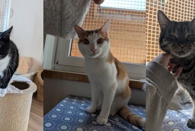 Milo+ Namio+ Esterossa