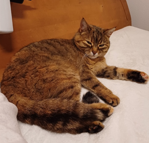 Mimi, Absam  (05/2025)