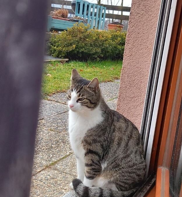 Ty, Breitenbach  (05/2025)