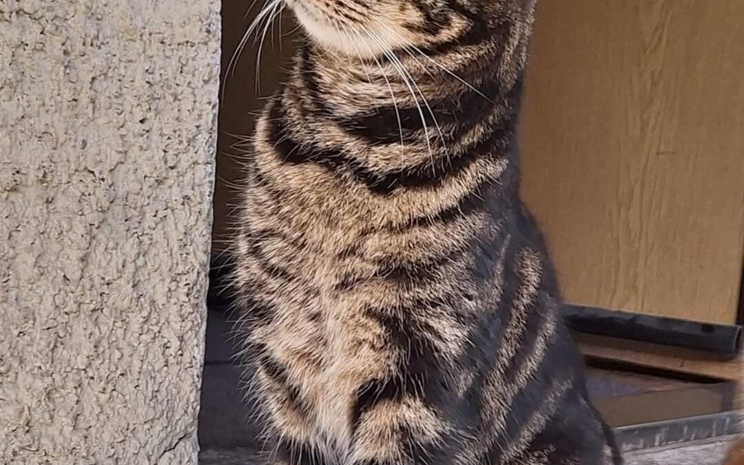 Lio, Gries im Sellrain  (05/2025)