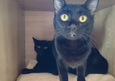 Sirikit & Loreley