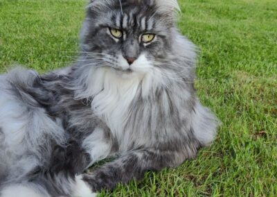 Fibi, Mieders  (05/2025)