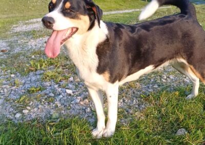 Santa, Strass im Zillertal  (05/2025)