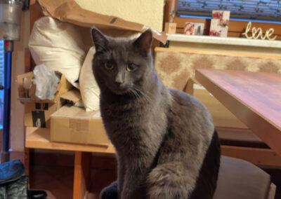 Simba, Weer  (05/2025)