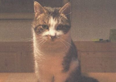 Felix, Ellmau  (06/2025)