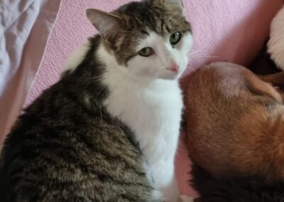 Larry, Kirchbichl  (06/2025)