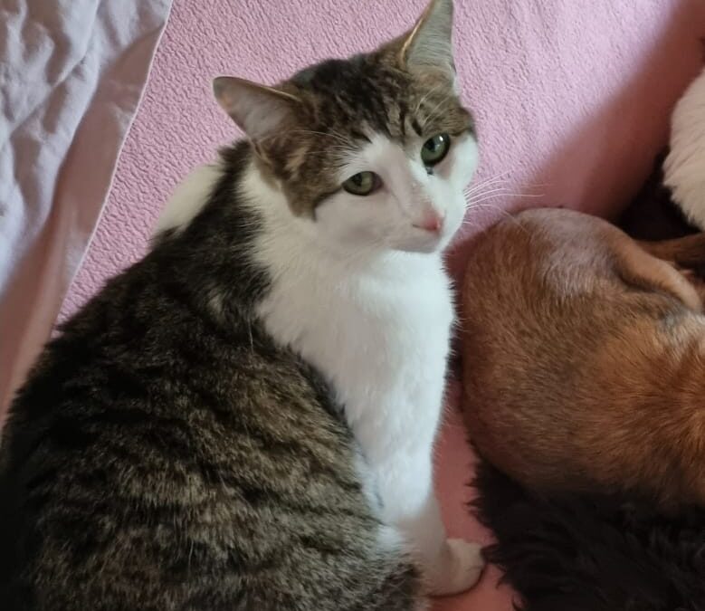 Larry, Kirchbichl  (06/2025)