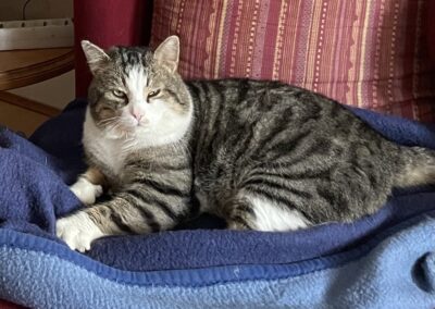 Pepper, Kirchbichl  (06/2025)