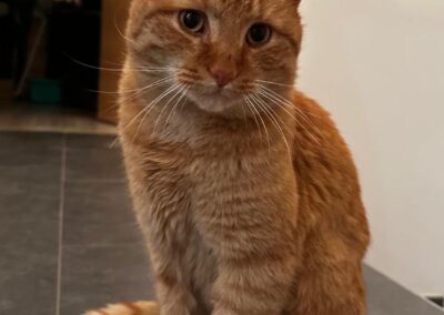 Seppi, Landeck  (06/2025)