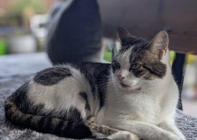 Remy, Unterlangkampfen  (06/2025)