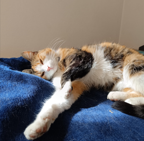 Mimi, Ried im Oberinntal  (06/2025)