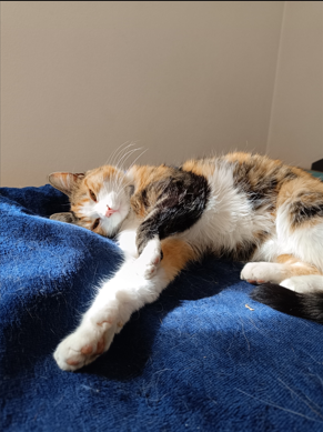 Mimi, Ried im Oberinntal  (06/2025)