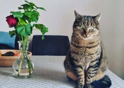 Mia, Schwaz (06/2025)